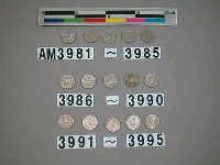 藏品(美國二角五分硬幣)的圖片